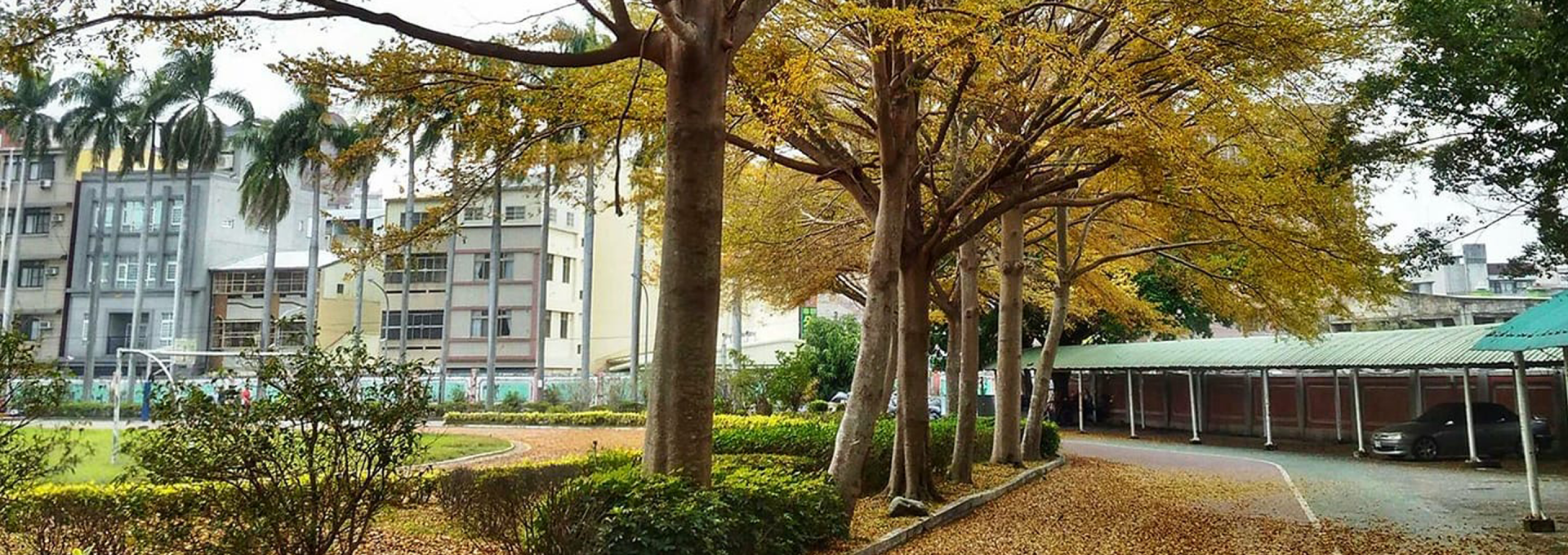 校景一